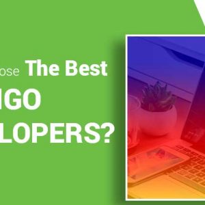 How-to-Choose-the-Best-DJANGO-Developers